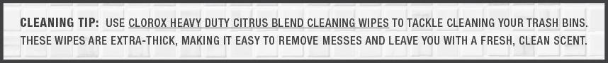 Cleaning Tip #2 