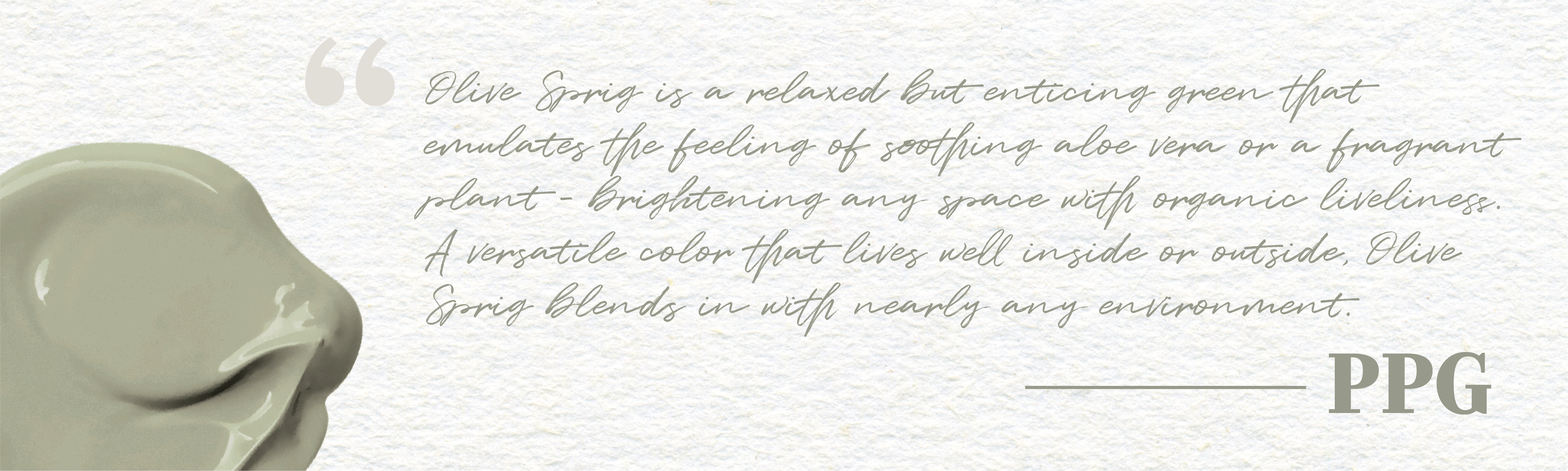 PPG Color of the Year Quote