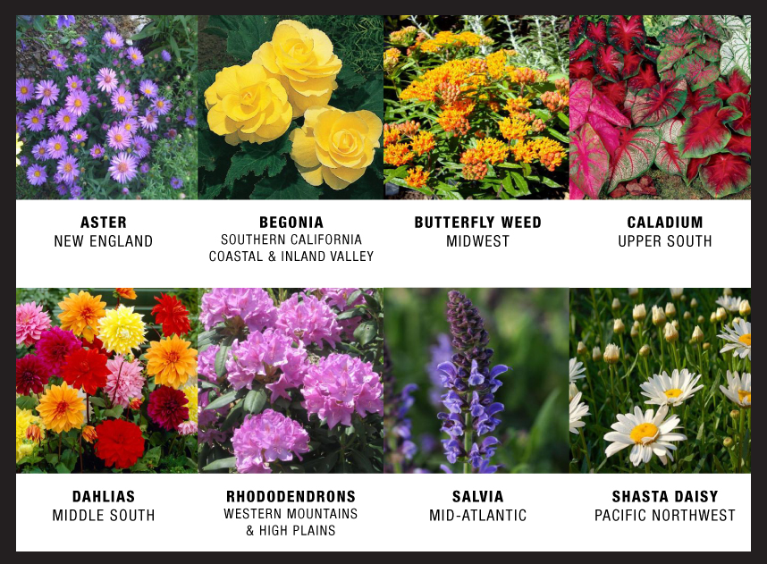 Check out some plants that are unique to specific regions, and see if you can spot them in your local store.