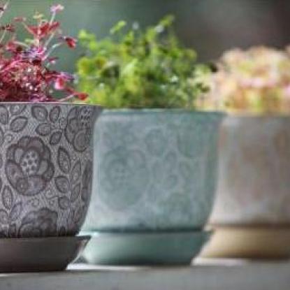 Gardening Ceramic Pots